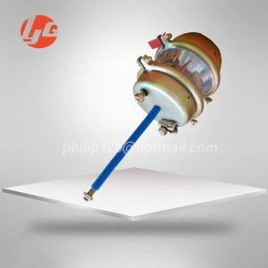 T3030dd Spring Brake Chamber for Mercedes Benz Volvo Man 9253020020